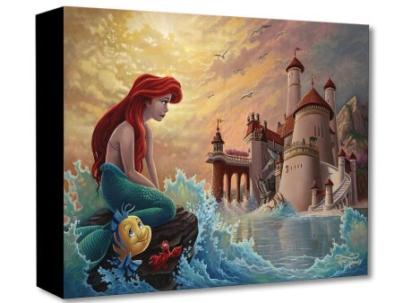 Ariel s Daydream  by Jared Franco Sale