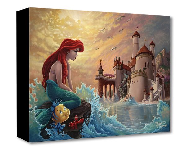 Ariel s Daydream  by Jared Franco Sale