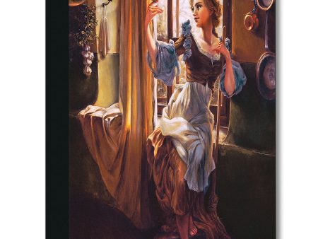 Cinderella s New Day  by Heather Edwards Supply