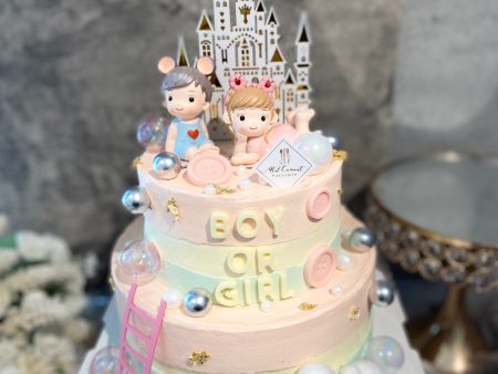 Gender Reveal Cake 宝宝性别揭示蛋糕 Discount