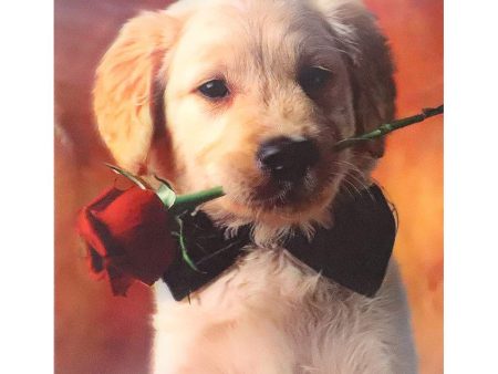 Puppy with Rose - 3D Lenticular Poster - 12x16 -  NEW Sale