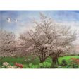 White Cherry Blossom Tree - 3D Lenticular Poster - 12x16 -  NEW Online Hot Sale