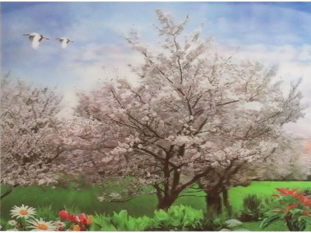 White Cherry Blossom Tree - 3D Lenticular Poster - 12x16 -  NEW Online Hot Sale