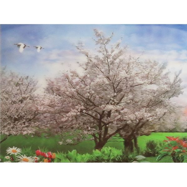 White Cherry Blossom Tree - 3D Lenticular Poster - 12x16 -  NEW Online Hot Sale