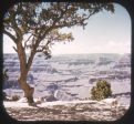 Grand Canyon - Arizona - View-Master SMALL LETTERING Gold Center Reel - vintage - #26 Online