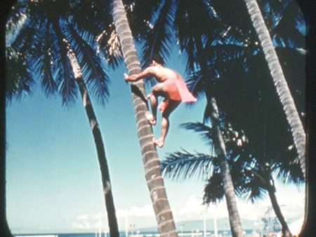 Island of Oahu - Hawaii - View-Master Gold Center Reel - vintage - #64 Discount