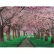 Blossom Tree Pink Scenery - 3D Lenticular Poster - 12x16 -  NEW Online