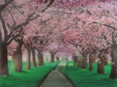 Blossom Tree Pink Scenery - 3D Lenticular Poster - 12x16 -  NEW Online