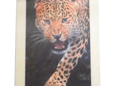 Jaguar - 3D Lenticular Poster - 12x16 -  NEW Hot on Sale