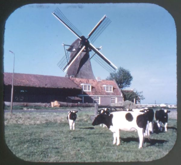 Windmills of Holland - View-Master Single Reel - #1947 - vintage For Cheap