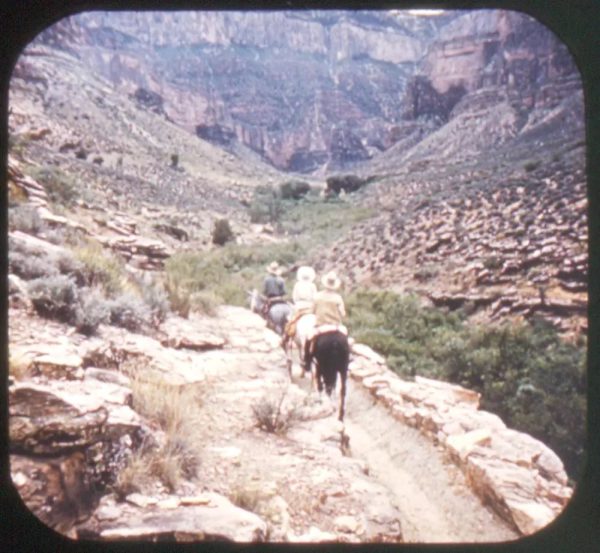 Grand Canyon - Bright Angel Trail - View-Master Gold Center Reel - vintage - #30 Online