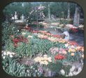 Tulip Time, Holland - View-Master Single Reel - #1920A - vintage Online now