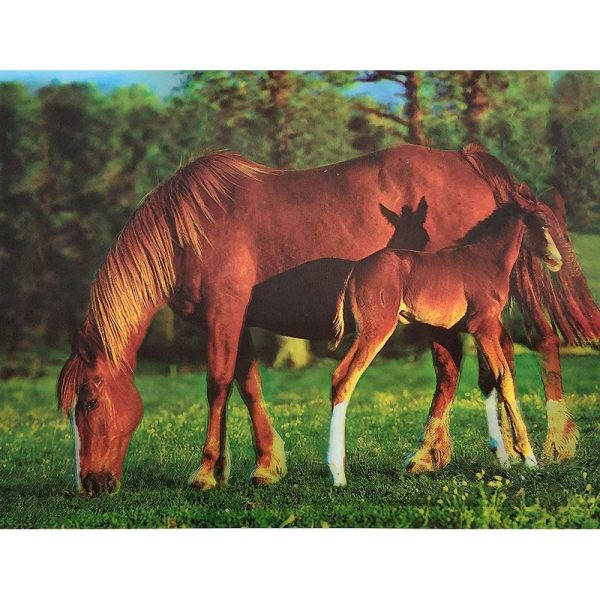 Brown Horse and a Foal - 3D Lenticular Poster - 12x16 -  NEW Hot on Sale