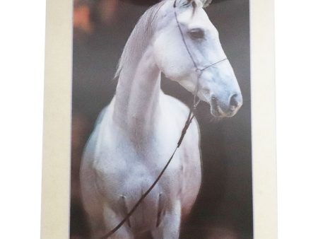 White Horse - 3D Lenticular Poster - 12x16 -  NEW Discount