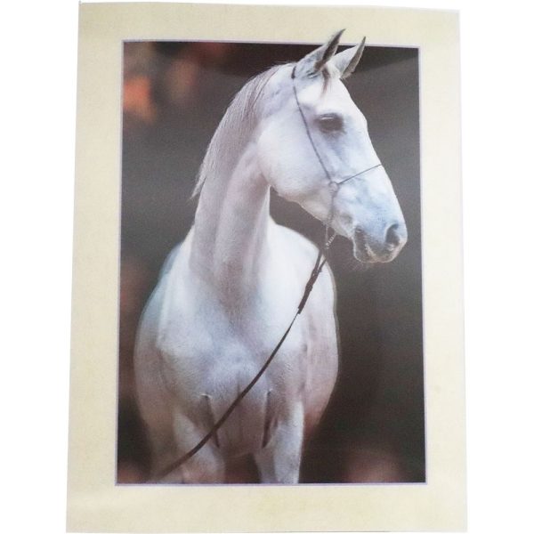 White Horse - 3D Lenticular Poster - 12x16 -  NEW Discount