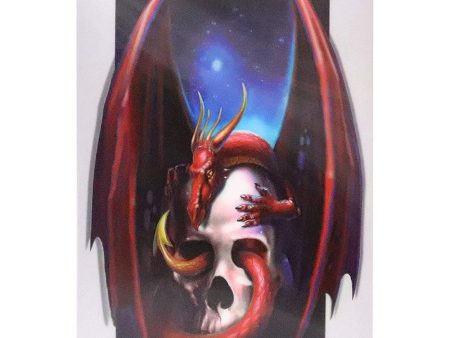 Dragon in Skull - 3D Lenticular Poster - 12x16 -  NEW Fashion