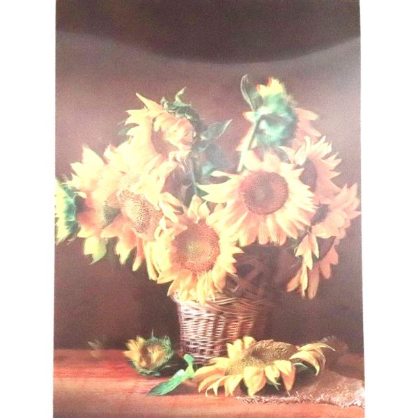 Sunflowers in Basket - 3D Lenticular Poster - 12x16 -  NEW Online now