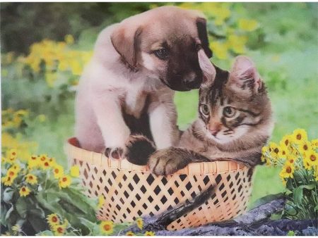 Puppy and Kitten - 3D Lenticular Poster - 12x16 -  NEW For Discount