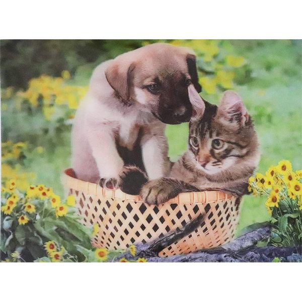 Puppy and Kitten - 3D Lenticular Poster - 12x16 -  NEW For Discount