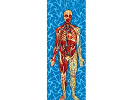 Man s Body Anatomical - 3D Animated Lenticular Bookmark - NEW For Sale