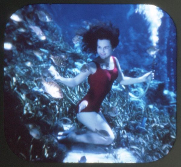 Weeki Wachee - Live Mermaids - Florida - View-Master - Vintage - 3 Reel Packet - 1960s views - A991-S6 Supply