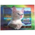 Kitten with Swans in the back - 3D Lenticular Poster - 12x16 Print - New Hot on Sale