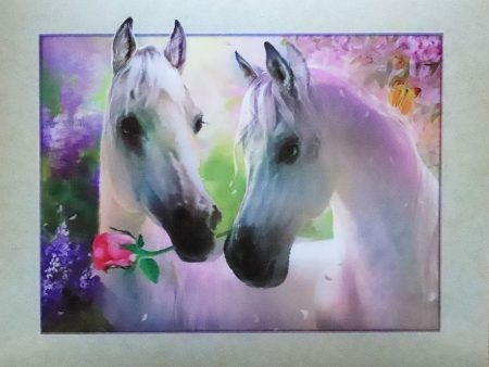 White Horse with Rose - 3D Lenticular Poster - 12x16 Print - New Online Hot Sale