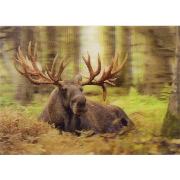 Bull Moose resting - 3D Lenticular Postcard Greeting Card - NEW Online Sale