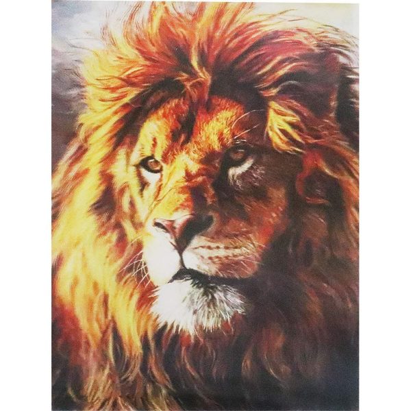 Lions - Triple Views - 3D Action Lenticular Poster - 12x16 - 3 Prints in 1 - New Hot on Sale