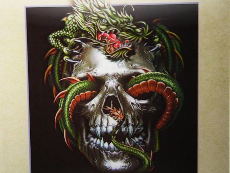 Dragon in a Skull - 3D Lenticular Poster - 16 x 16 Print - New Sale