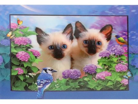 2 Birman Kittens with a bird - 3D Lenticular Poster - 12x16 Print - New Sale