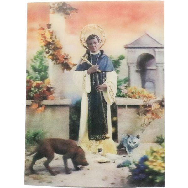 St. Martin de Porres - 3D Lenticular Poster - 12 X 16 Sale