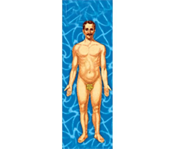 Man s Body Anatomical - 3D Animated Lenticular Bookmark - NEW For Sale