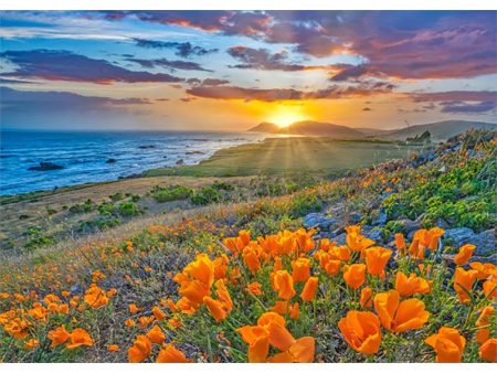 Big Sur - 3D Action Lenticular Greeting Card - NEW Supply