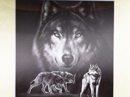 Wolf - black background - 3D Lenticular Poster - 16 x 16 Print - New Discount