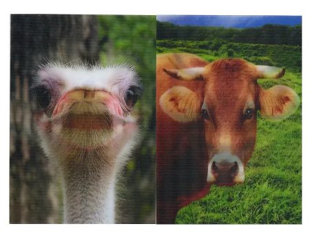 2 Smiling Animals  - 2 Humorous 3D Lenticular Postcards - NEW For Discount