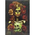 Catrina with Skull  - 3D Lenticular Poster - 12x16 Print - New Online now