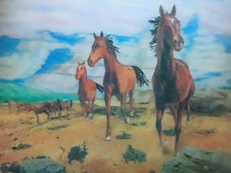 Wild Horse - 3D Lenticular Poster - 12x16 - New Cheap