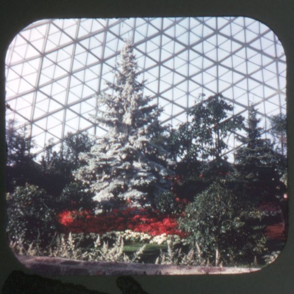 Milwaukee County & Horticultural Conservatory - View-Master 3 Reel Packet - 1970s views - (A532-G1A) Online Hot Sale