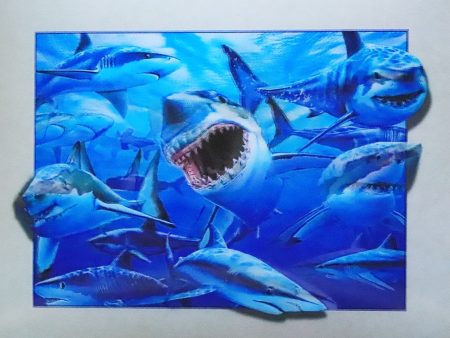 Sharks in the Ocean - 3D Lenticular Poster - 12x16 Print - New Hot on Sale