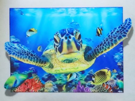 Sea Turtles - 3D Lenticular Poster - 12x16 Print - New Online Hot Sale