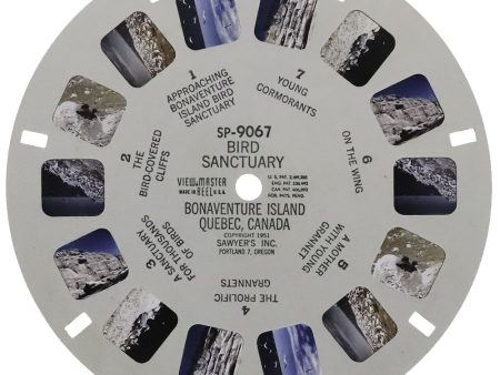 Bird Sanctuary Bonaventure Island, Quebec Canada - View-Master SP Reel - vintage - (SP-9067) For Cheap