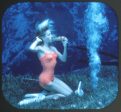 Weeki Wachee - Live Mermaids - Florida - View-Master - Vintage - 3 Reel Packet - 1960s views - A991-S6 Supply