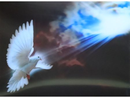 Dove in the Sky - 3D Lenticular Poster - 12x16 Print - New Online Hot Sale