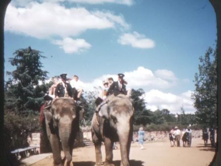 Johannesburg - Union of South Africa - View-Master Single Reel - 1948 - vintage - 3040 Fashion