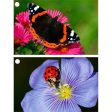 Lady Bug and Butterfly - 2 3D Lenticular Gift Tags Cards - NEW Fashion