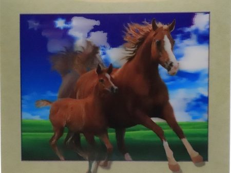 Running Horse and Foal - 3D Lenticular Poster - 12x16 -  NEW Sale