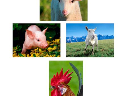 4 - Farm Animals - 3D Lenticular Postcards  Greeting Cards - NEW Fashion