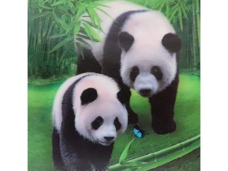 Panda - 3D Lenticular Poster - 12x16 Print - New on Sale