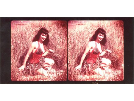 Bettie Page PinUp-3X3 Stereo Pair Print -On the New Jersey Farm -  Real Photograph for Stereo Card Mounts - vintage on Sale